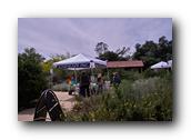 NativePlants076280326.jpg