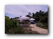 NativePlants077280326.jpg