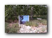 NativePlants079280326.jpg