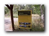 NativePlants081280326.jpg
