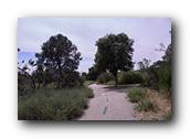 NativePlants083280326.jpg