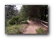 NativePlants088280326.jpg