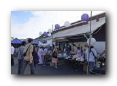 DSC02589.jpg