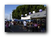 DSC02602.jpg