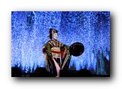 OCJapanFair223050426.jpg