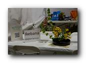 OCJapanFair274050426.jpg