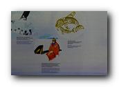 DSC01980.jpg