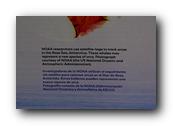 DSC01981.jpg