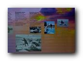 DSC01989.jpg