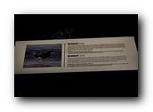 DSC02012.jpg
