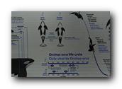 DSC02019.jpg