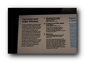 DSC02042.jpg