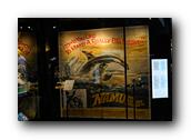 DSC02053.jpg