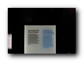 DSC02059.jpg