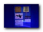 DSC02069.jpg