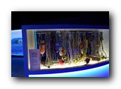 DSC02070.jpg