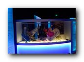 DSC02071.jpg