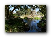 DSC02114.jpg