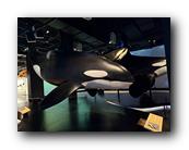 IMG_8085.jpg