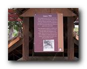 Mission055220326.jpg