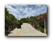 IMG_7818.jpg