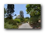 SDBotanic006030526.jpg