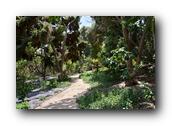 SDBotanic014030526.jpg