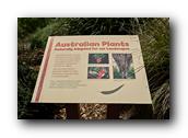 SDBotanic015030526.jpg
