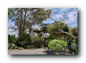 SDBotanic027030526.jpg