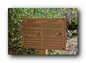 SDBotanic031030526.jpg