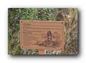 SDBotanic032030526.jpg