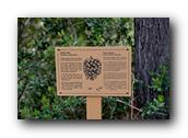 SDBotanic035030526.jpg