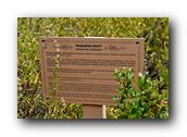 SDBotanic037030526.jpg