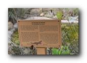 SDBotanic041030526.jpg
