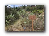 SDBotanic044030526.jpg