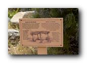 SDBotanic048030526.jpg