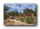SDBotanic049030526.jpg