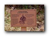 SDBotanic050030526.jpg
