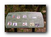 SDBotanic051030526.jpg