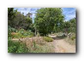 SDBotanic054030526.jpg