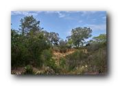 SDBotanic058030526.jpg