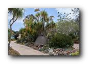 SDBotanic062030526.jpg