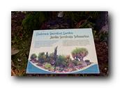 SDBotanic065030526.jpg