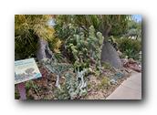 SDBotanic066030526.jpg