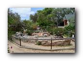 SDBotanic082030526.jpg