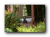SDBotanic120030526.jpg