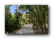 SDBotanic126030526.jpg