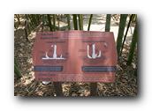 SDBotanic127030526.jpg
