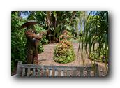 SDBotanic146030526.jpg