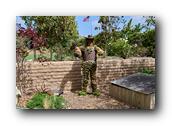 SDBotanic148030526.jpg